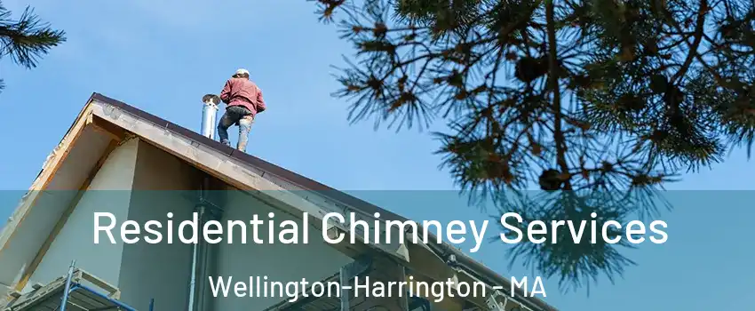 Residential Chimney Services Wellington-Harrington - MA