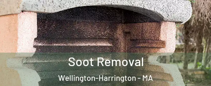 Soot Removal Wellington-Harrington - MA