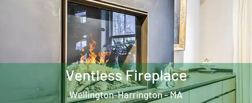 Ventless Fireplace Wellington-Harrington - MA