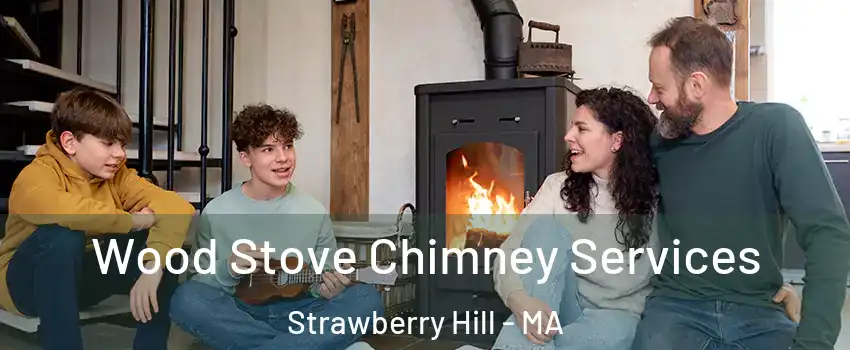 Wood Stove Chimney Services Strawberry Hill - MA