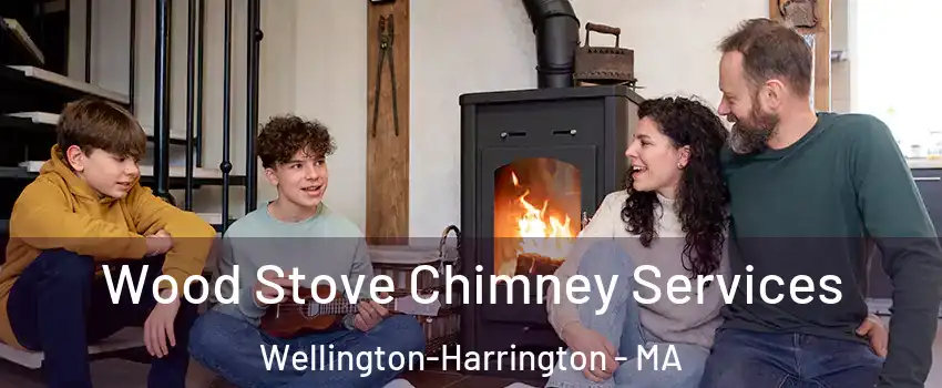 Wood Stove Chimney Services Wellington-Harrington - MA